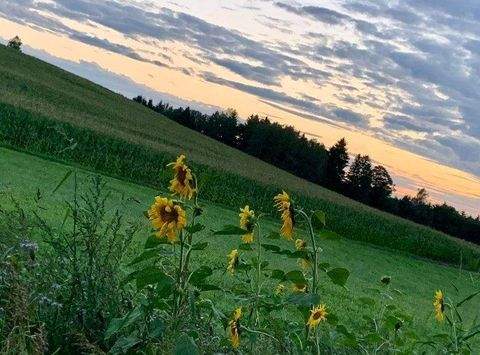 Kirchdorf i.Wald Grundstücke, Kirchdorf i.Wald Grundstück kaufen