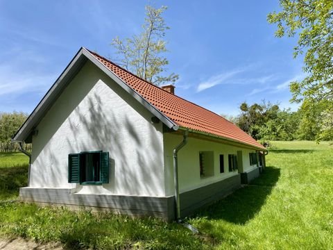 Lesencefalu Bauernhöfe, Landwirtschaft, Lesencefalu Forstwirtschaft