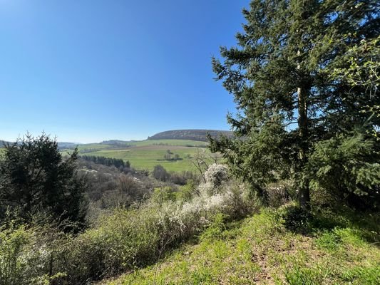 Weitblick
