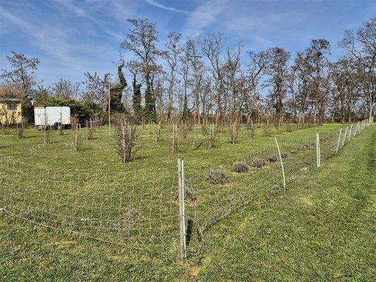 Tuberanlage Freifläche