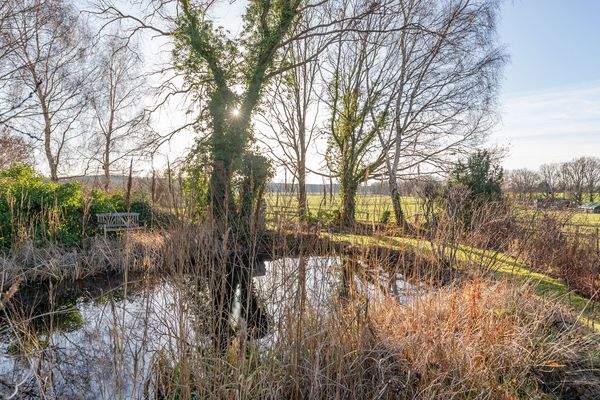Eigener Teich im Garten