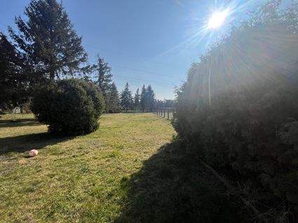 Tröbitz Häuser, Tröbitz Haus kaufen