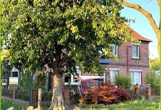 Außenansicht mit Vorgarten