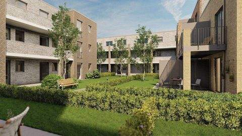 Fehmarn Wohnungen, Fehmarn Wohnung mieten