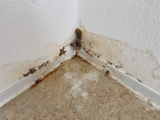 Renovierung notwendig Küche