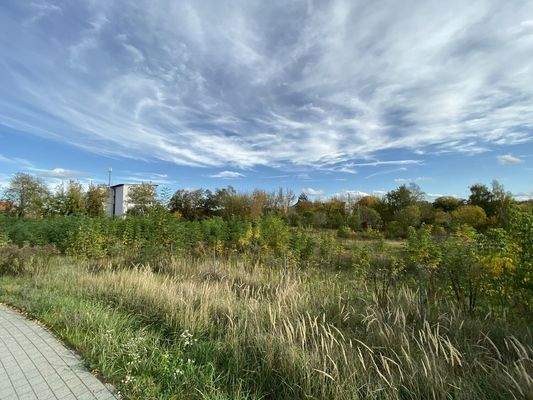 Blick Richtung Norden / TH Wildau