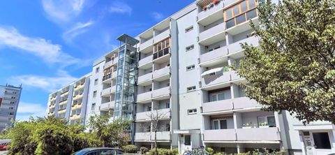 Neubrandenburg Wohnungen, Neubrandenburg Wohnung mieten