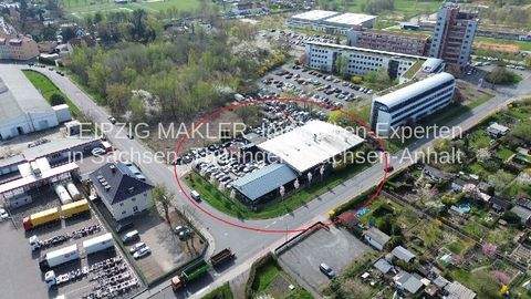 Leipzig Halle, Leipzig Hallenfläche