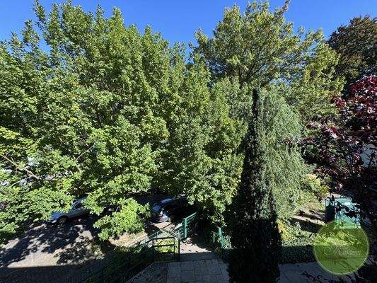 ... mit wohltuendem Blick ins Grüne