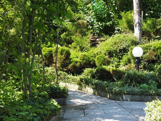 Gartenbereich