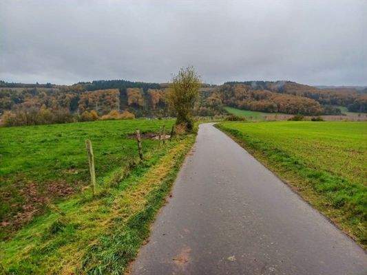 asphaltierte Zuwegung