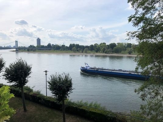 Blick vom Balkon! Direkte Rheinlage