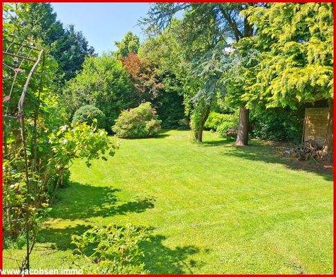 Gartenansicht im Sommer