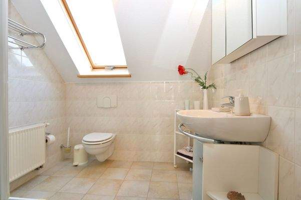 das Tageslicht-Duschbad