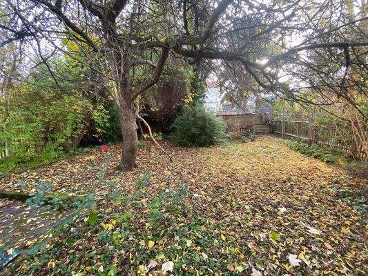 Garten hinter dem Haus (1).jpg