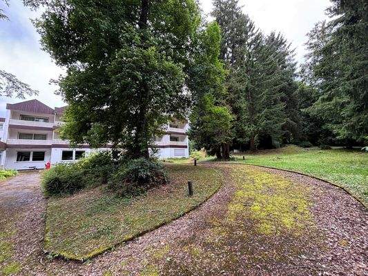 Rückansicht im grünen