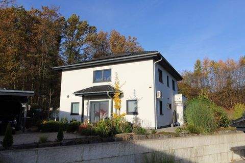 Meschede Häuser, Meschede Haus kaufen