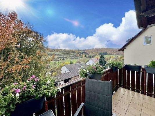 Aussicht vom Balkon (2)