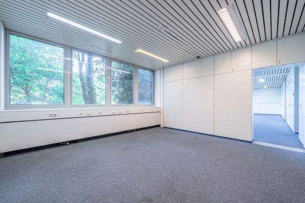 Büro mit Blick ins Grüne