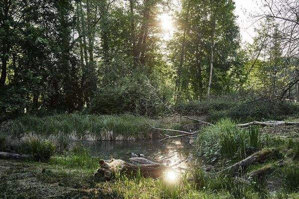 einmal über die Straße ..