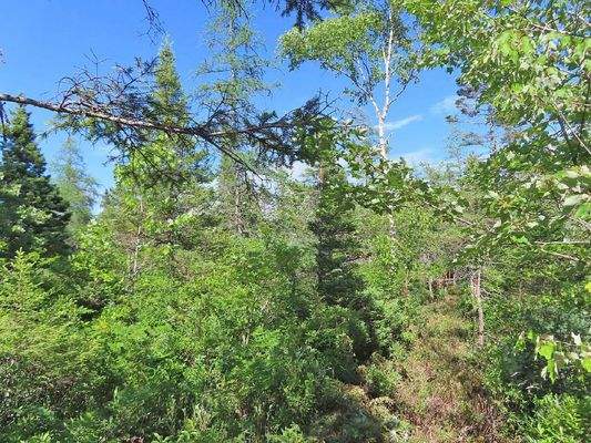 Cape Breton - Neu-Erschließung mit 7 Lots - 23 Hek