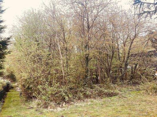 Grundstück Quickborn - Schwartmoorallee (5).jpg