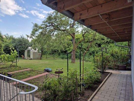 von der Kellertreppe im Garten