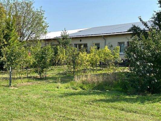 Seitenansicht mit Photovoltaik