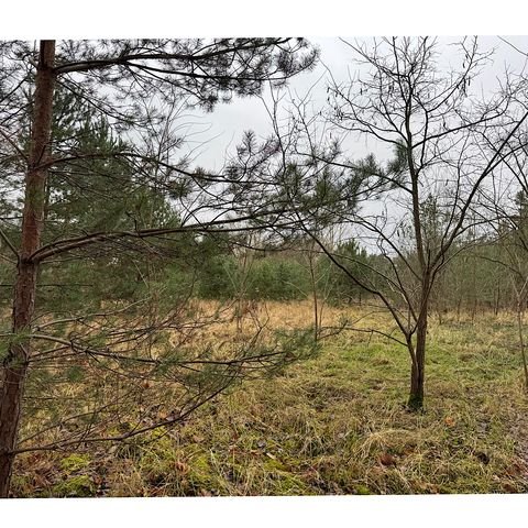 Oranienburg Grundstücke, Oranienburg Grundstück kaufen