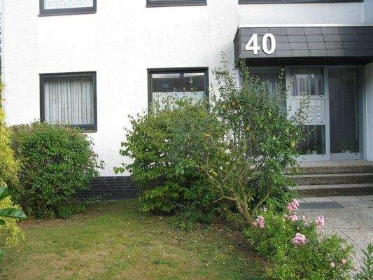 Die beiden Küchenfenster