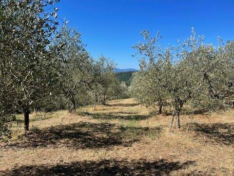 Massa Marittima Grundstücke, Massa Marittima Grundstück kaufen