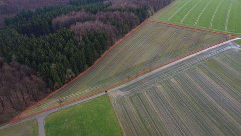 Altenbeken Bauernhöfe, Landwirtschaft, Altenbeken Forstwirtschaft