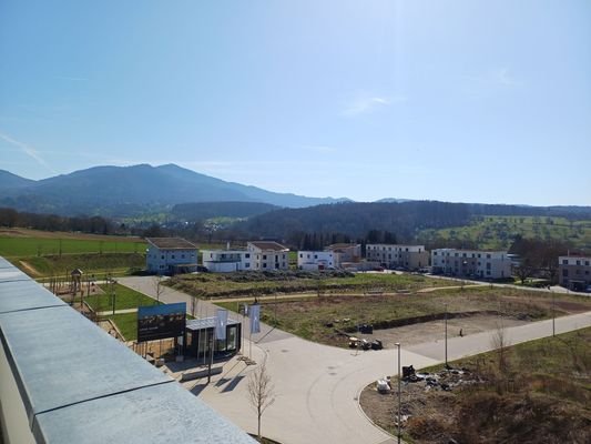 _Aussicht Dachterasse Süd.jpg