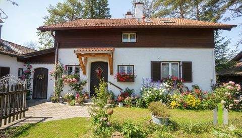 Wolfratshausen Häuser, Wolfratshausen Haus kaufen