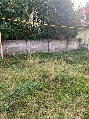 Rasenfläche mit Wäscheplatz.jpg