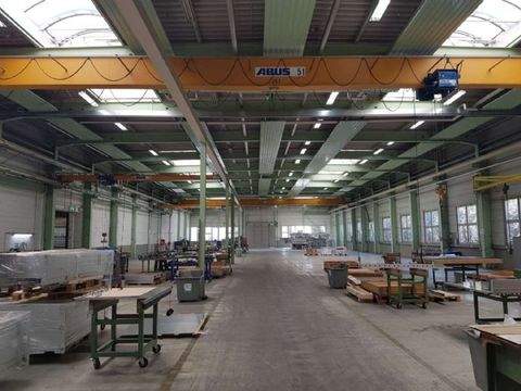 Hofheim Halle, Hofheim Hallenfläche