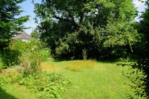 Bild 21