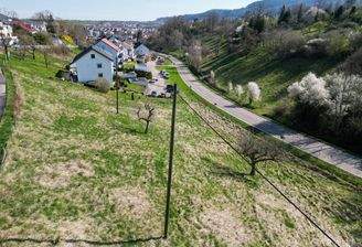 dji fly 20250405 105004 759 1743843075698 photo