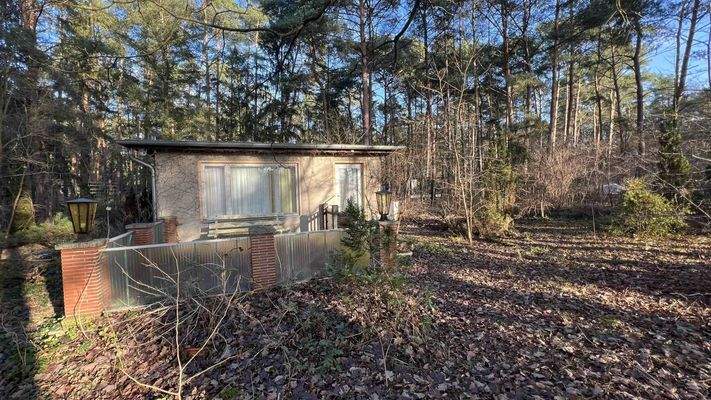 1123-2024-12-15 037.jpg