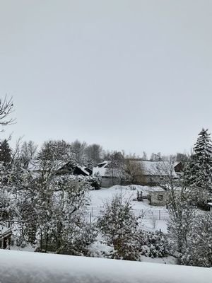 Blick vom Balkon