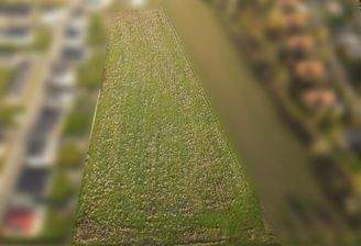 Baugebiet aus der Luft