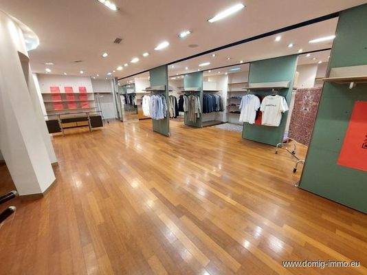 Geschäftsfläche | EG 