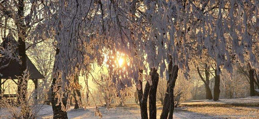 Bad Griesbach im Rottal - ICC - Immobilien Competence Center