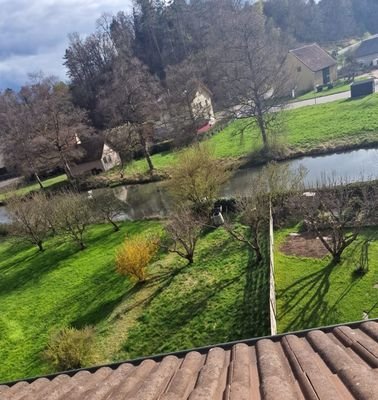 wunderschöner Garten