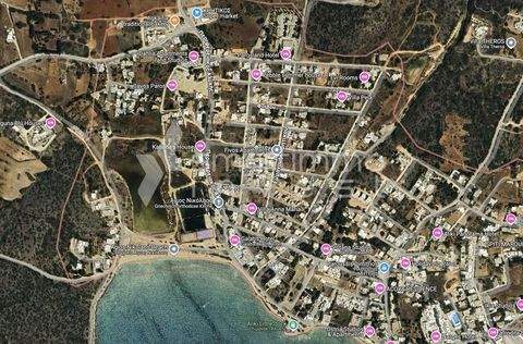 Alyki, Paros Bauernhöfe, Landwirtschaft, Alyki, Paros Forstwirtschaft