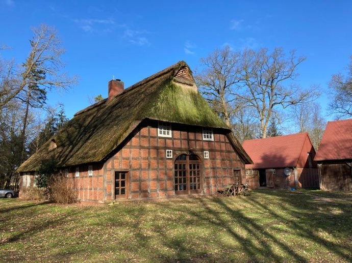 Historisches Reetdachhaus mit Scheunen in idyllischer Lage