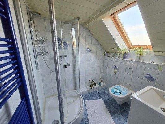 Duschbad Dachgeschoss