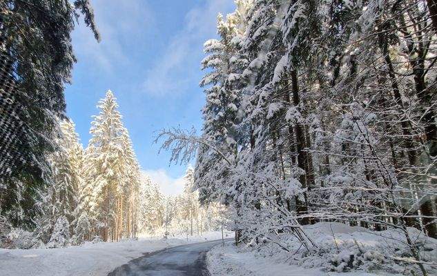 Winterimpressionen 2