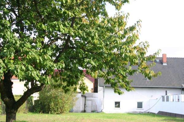 Sicht vom Grundstücksende