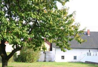 Sicht vom Grundstücksende